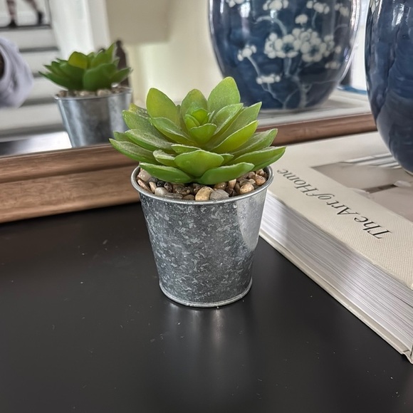 Green Succulent in Silver Pot - Picture 2 of 4